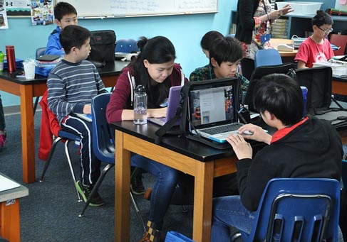 绿色轰炸工具版